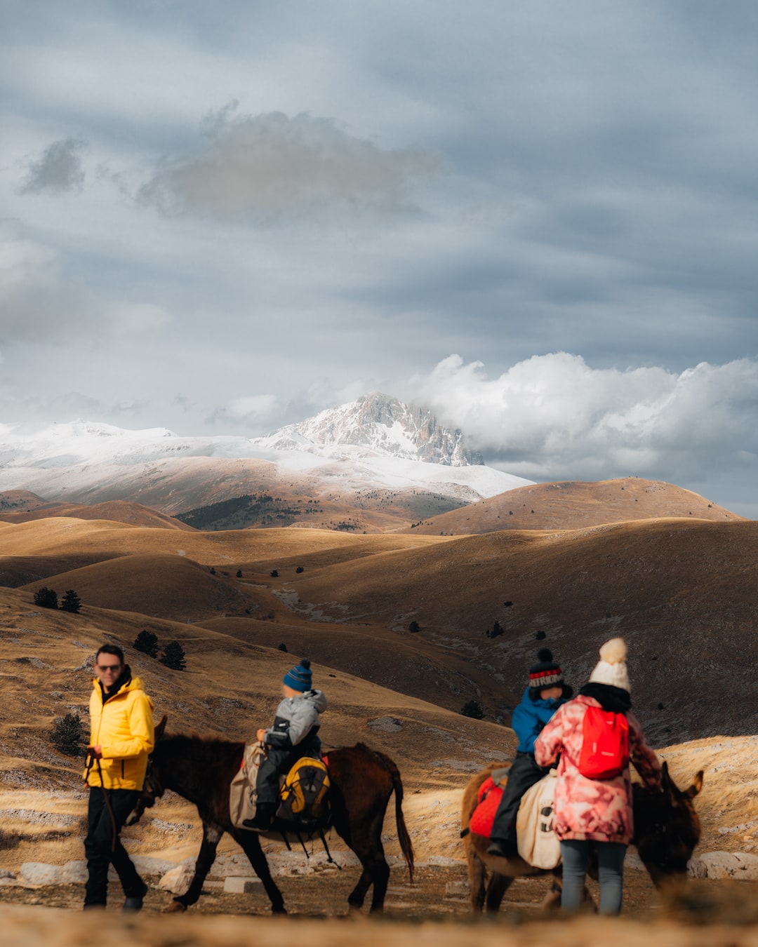 Paesaggio Campo Imperatore E Cavalli