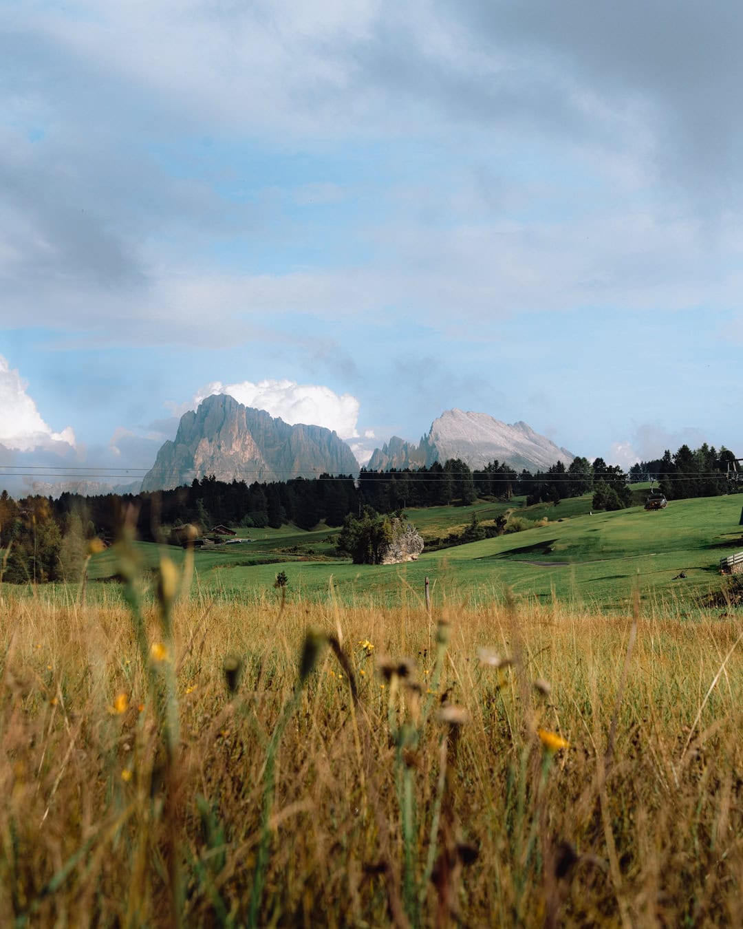 Foto Di Paesaggio Alpe di SIusi